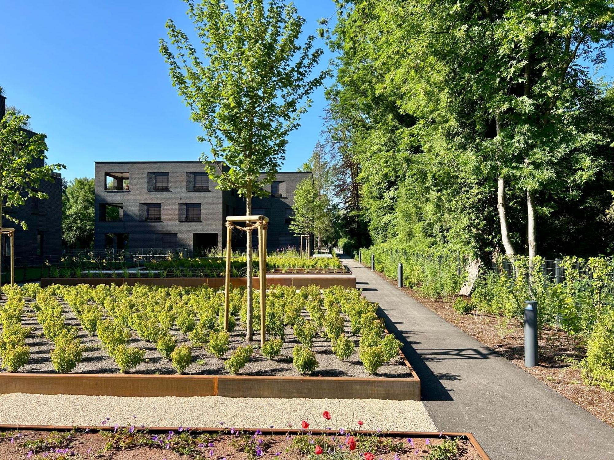 Seeparkvilla - Wohlfuehlen Am See Und Im Gruenen Bregenz Ngoại thất bức ảnh