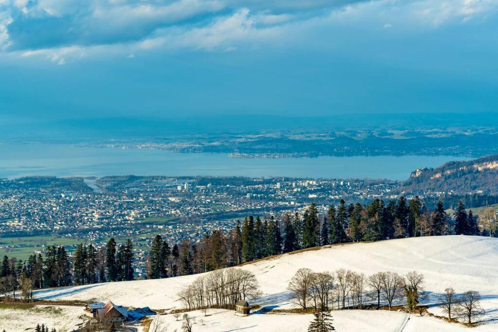 Seeparkvilla - Wohlfuehlen Am See Und Im Gruenen Bregenz Ngoại thất bức ảnh