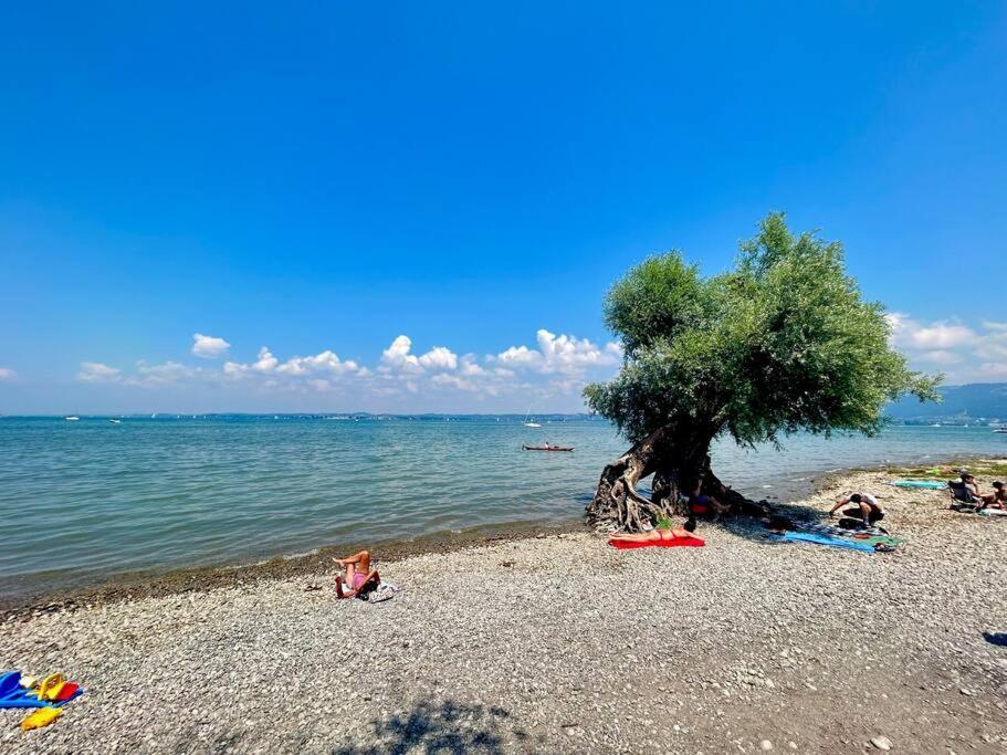 Seeparkvilla - Wohlfuehlen Am See Und Im Gruenen Bregenz Ngoại thất bức ảnh