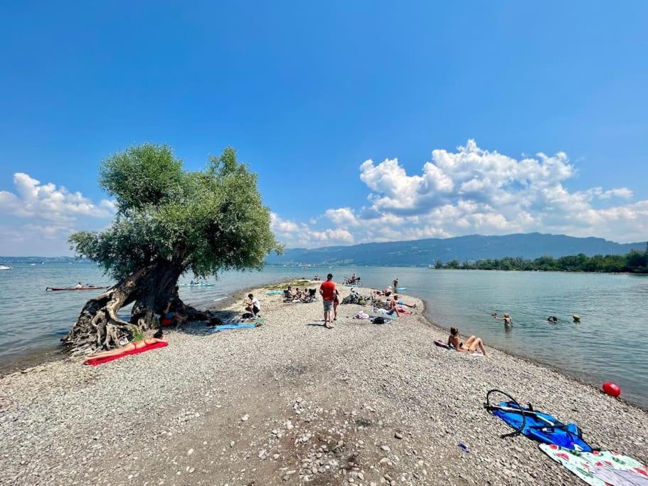 Seeparkvilla - Wohlfuehlen Am See Und Im Gruenen Bregenz Ngoại thất bức ảnh